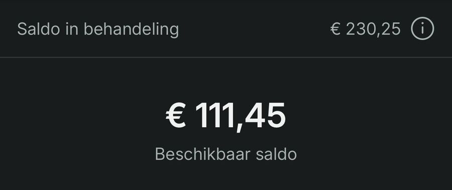 Vinted-portemonnee: €111,45 beschikbaar, €230,25 in behandeling